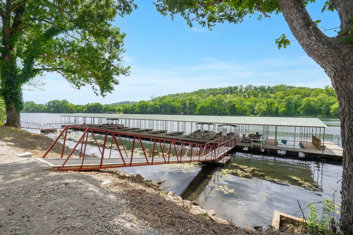 A serene lakeside scene showing a dock extending over the water, surrounded by trees and gentle hills. The setting captures calm morning mist and offers clear wildlife spotting opportunities, with peaceful water perfect for fishing or a quiet stroll.